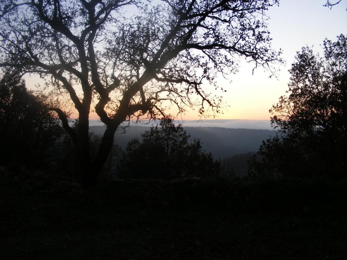 Bed and Breakfast Lou Papagai Saint-Antonin Exterior foto